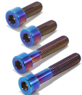 Surron Lbx/79Bike Titanium Motor Bolts